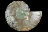 Agatized Ammonite Fossil (Half) - Madagascar #125070-1